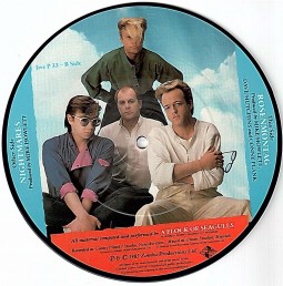 PICTURE- Single- Vinyl, A FLOCK OF SEAGULLS - Nightmares - England 1983
