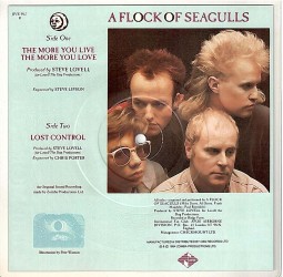 PICTURE-SHAPED Single- Vinyl, A FLOCK OF SEAGULLS - The More You Live...- England 1984