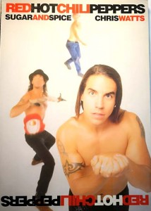 Buch - RED HOT CHILI PEPPERS - England 1994