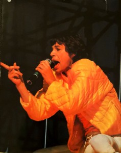 Buch "THE ROLLING STONES IN CONCERT" - England 1982