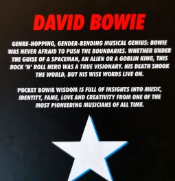 Mini-Buch - DAVID BOWIE - "Pocket Bowie Wisdom" - Erstauflage England 2016