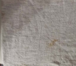 DIE TOTEN HOSEN - Tour-Shirt für die "Local Crew" - HANDSIGNIERT von Andi - Vintage!