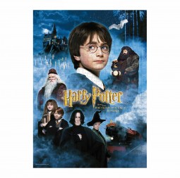 HARRY POTTER - Puzzle - "Movie Poster" - RIESIG - 50x70cm - 1000 Teile - Daniel Radcliffe