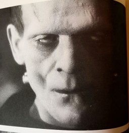 Buch, BORIS KARLOFF - "Frankenstein"- Film-Foto-Roman des Kultfilms, England 1974