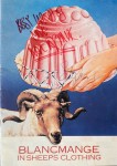 Tourprogramm - BLANCMANGE - "In Sheeps Clothing" - England - Tour 1984 - HANDSIGNIERT
