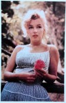 Postkarte - MARILYN MONROE - ungelaufen - England