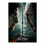 HARRY POTTER - Riesen Puzzle - 1000 Teile - 50 x 70cm - DANIEL RADCLIFFE - RALPH FIENNES