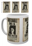 Becher - HARRY POTTER - "Undesirable" - DANIEL RADCLIFFE